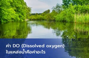 Read more about the article DO (Dissolved oxygen) ในแหล่งน้ำคือค่าอะไร