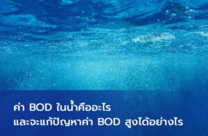 Read more about the article ค่า BOD ในน้ำคืออะไร และจะแก้ปัญหาค่า BOD สูงได้อย่างไร