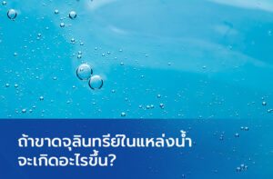 Read more about the article ถ้าขาดจุลินทรีย์ในแหล่งน้ำ จะเกิดอะไรขึ้น?